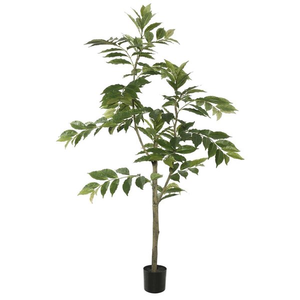 Grandoldgarden 4 ft. Potted Nandina Tree with 118 Leavess - Green GR1236022